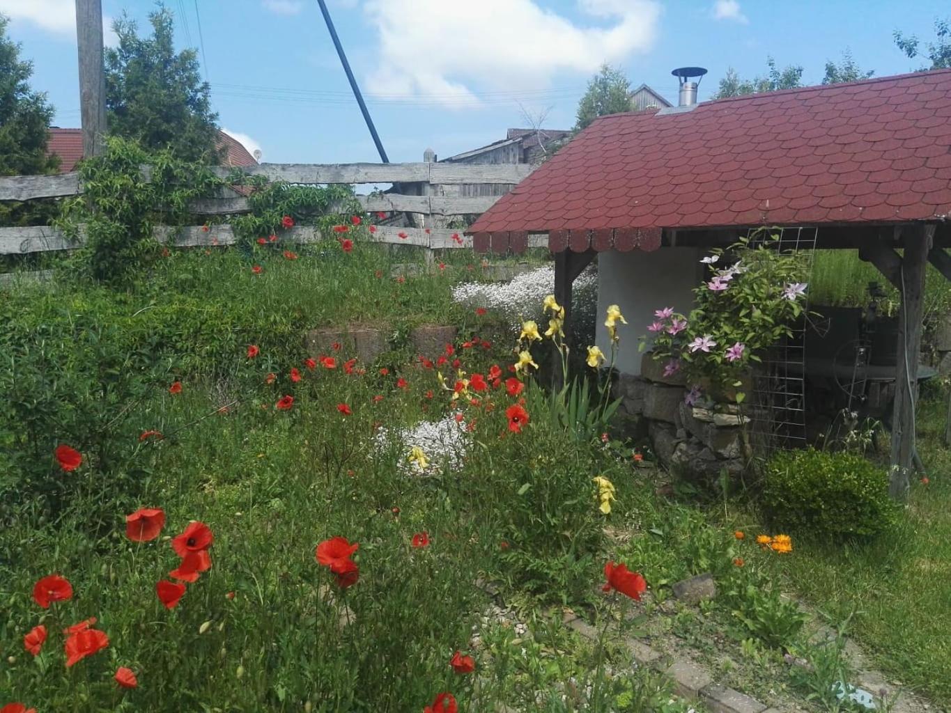 Gaestehaus Zum Gesundheitszentrum Matz Sulzdorf an der Lederhecke Exterior foto